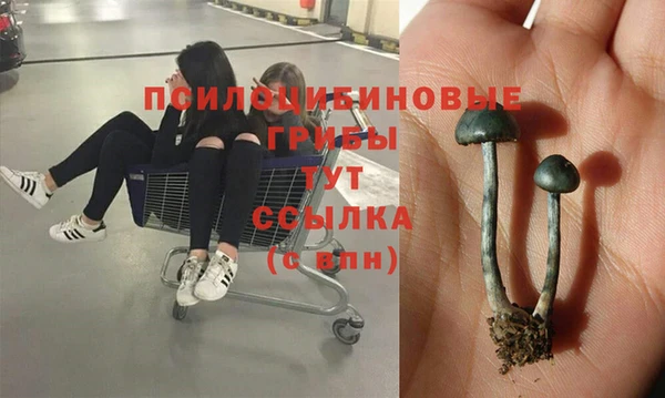 меф Бородино
