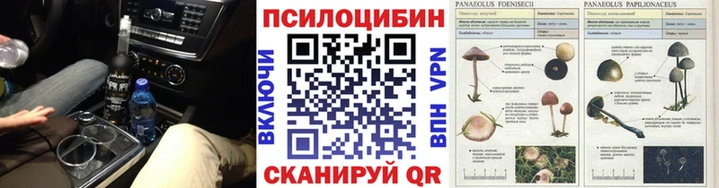 Галлюциногенные грибы GOLDEN TEACHER  Ессентуки 